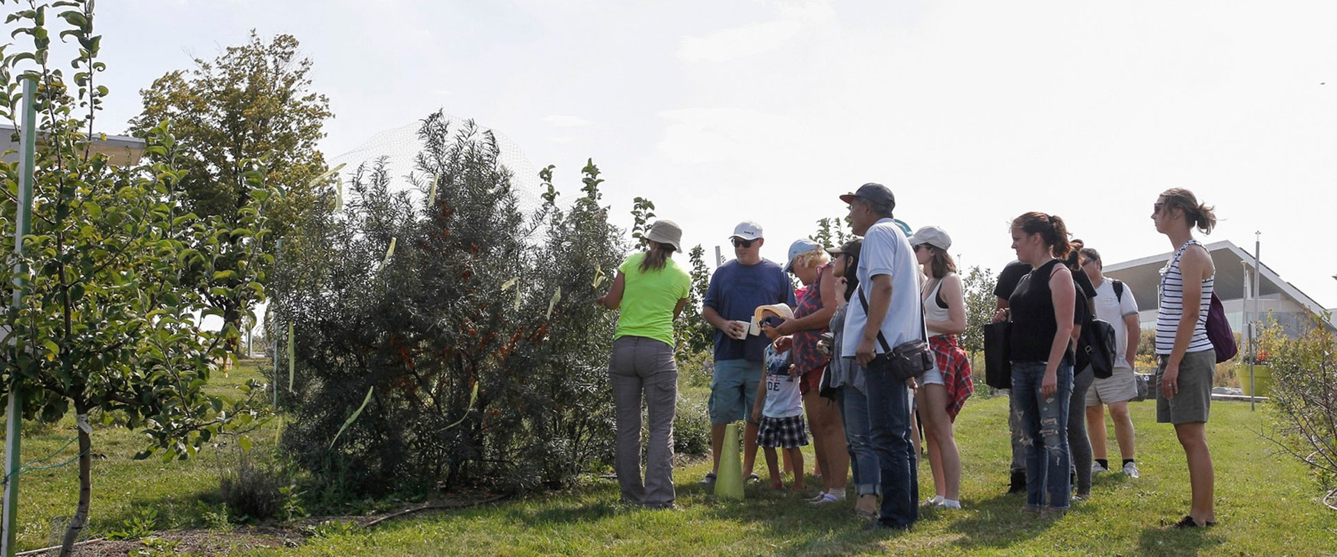 People at the Downsview Park orchard