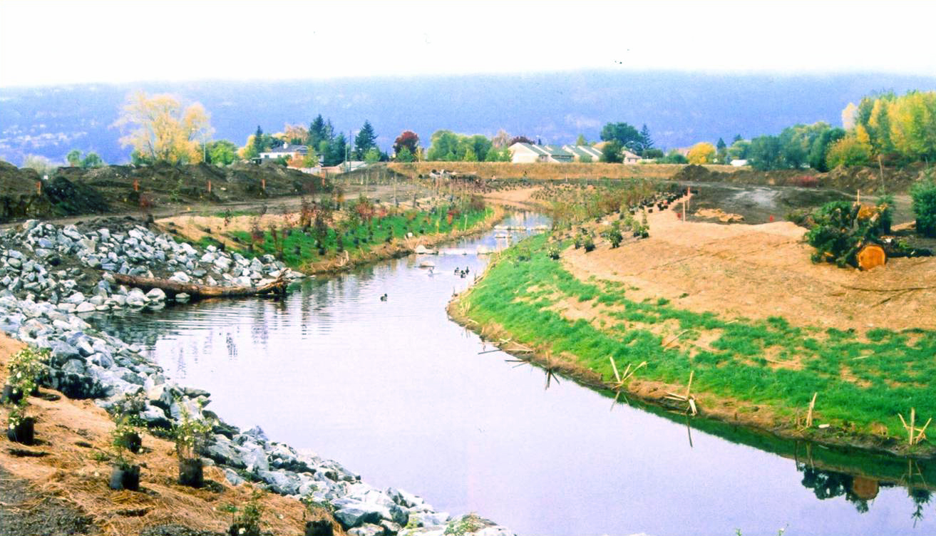 Brandts Creek Crossing showing lake and trees