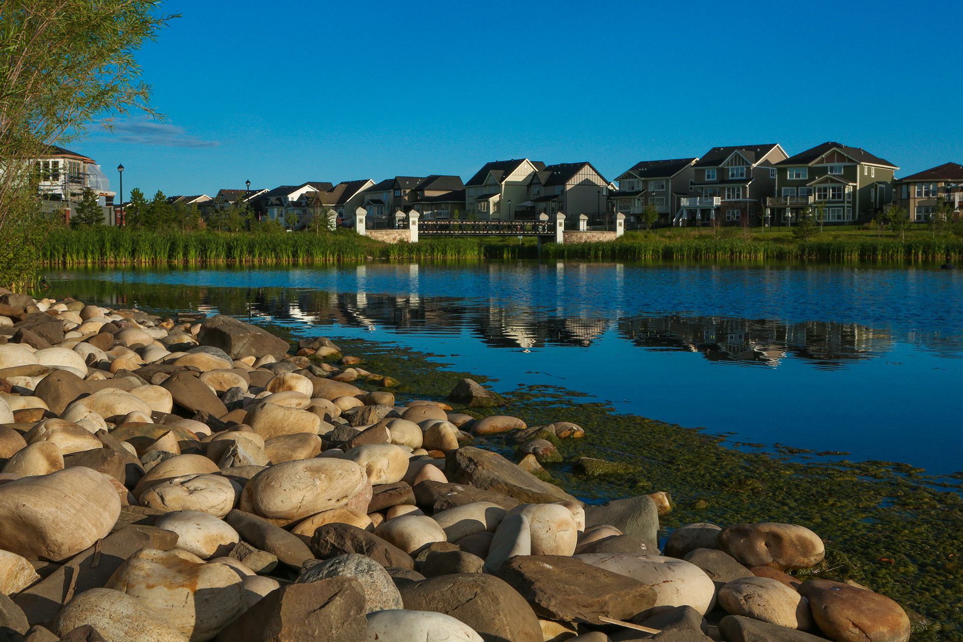 Waterfront and houses