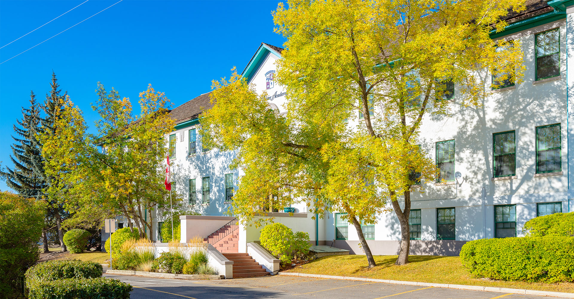 A white building with planted trees
