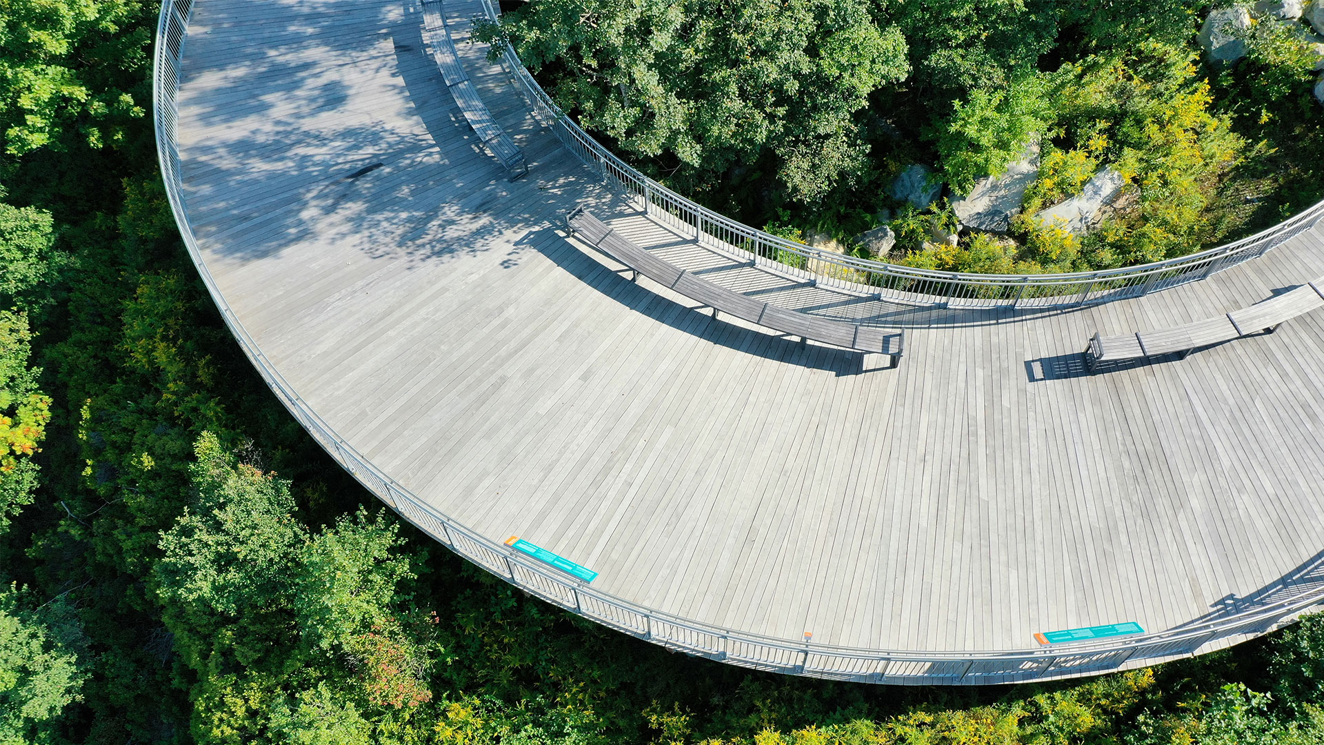 An aerial view of a boardwalk surrounding by trees