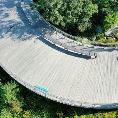 An aerial view of a boardwalk surrounding by trees