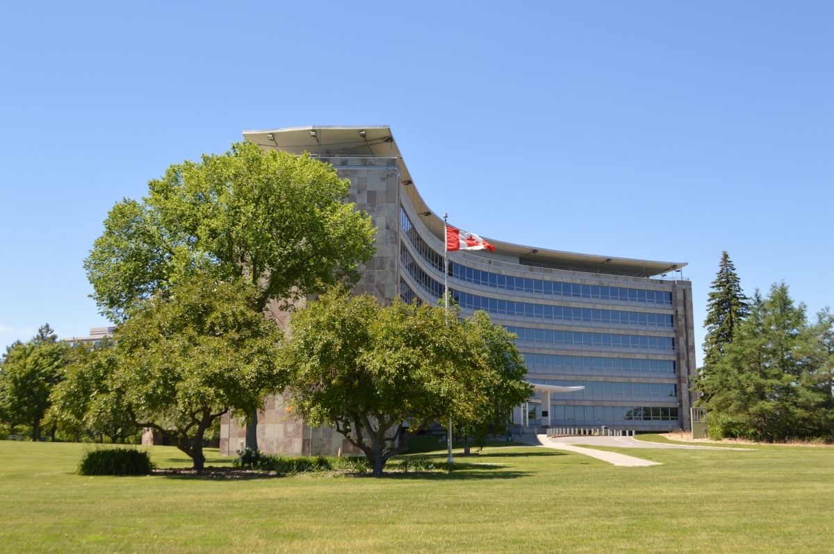 A large tree stands next to a building on the Confederation Heights property in Ottawa