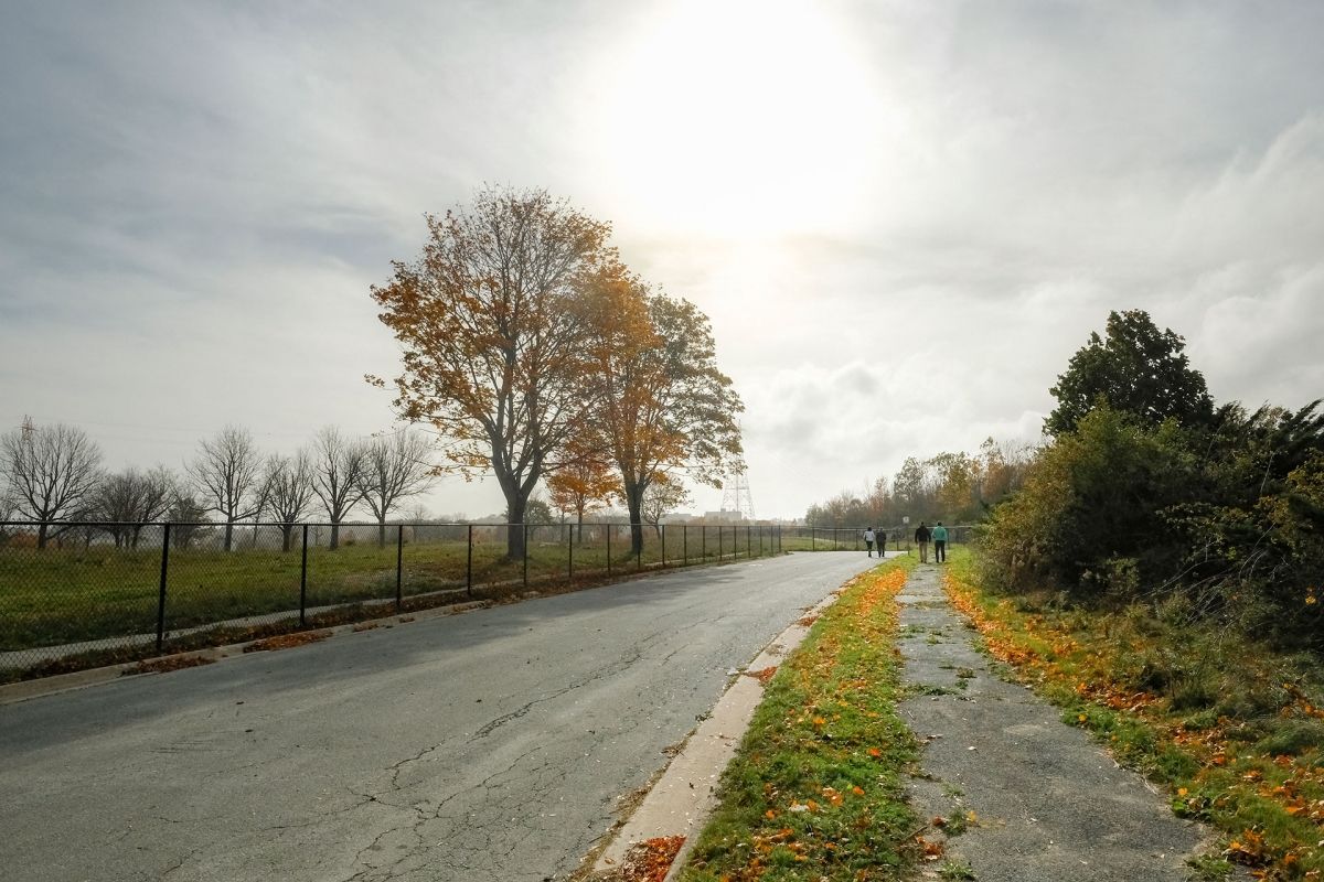 Shannon Park street view