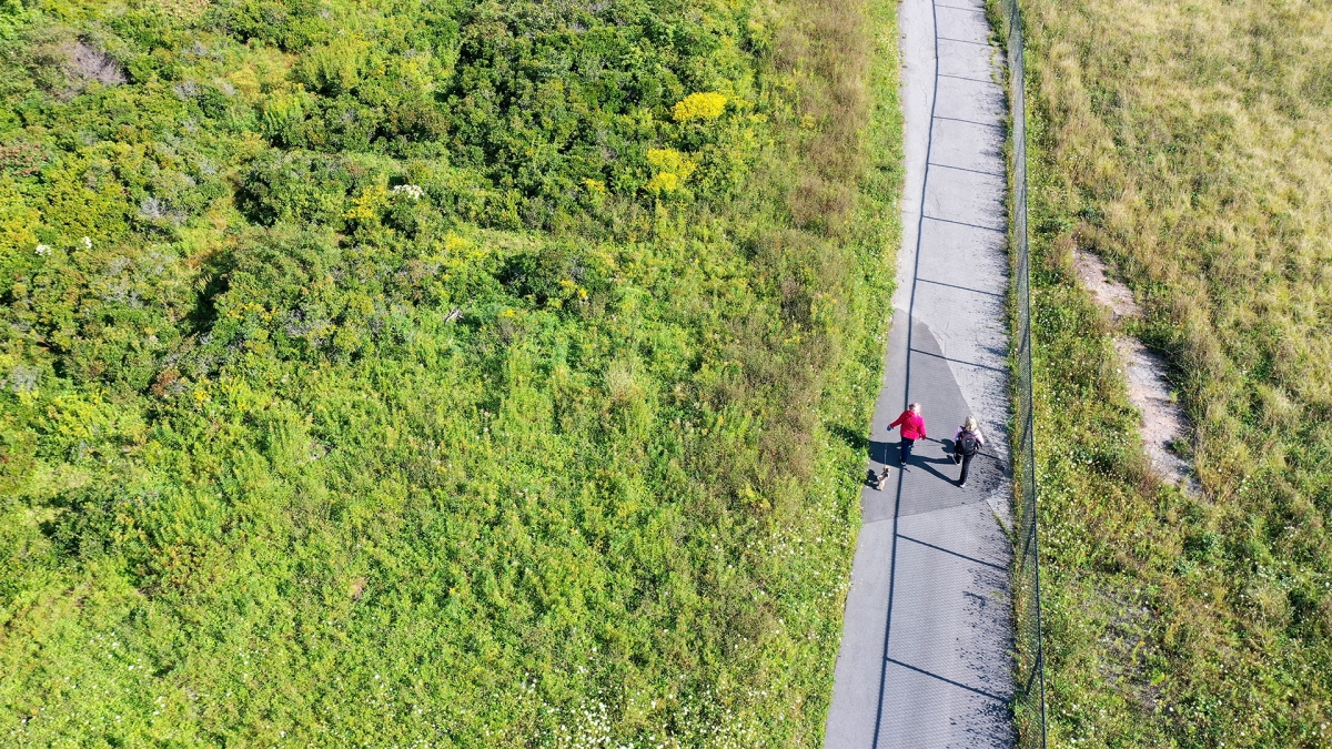 Two people walk along a trail surrounded by greenery