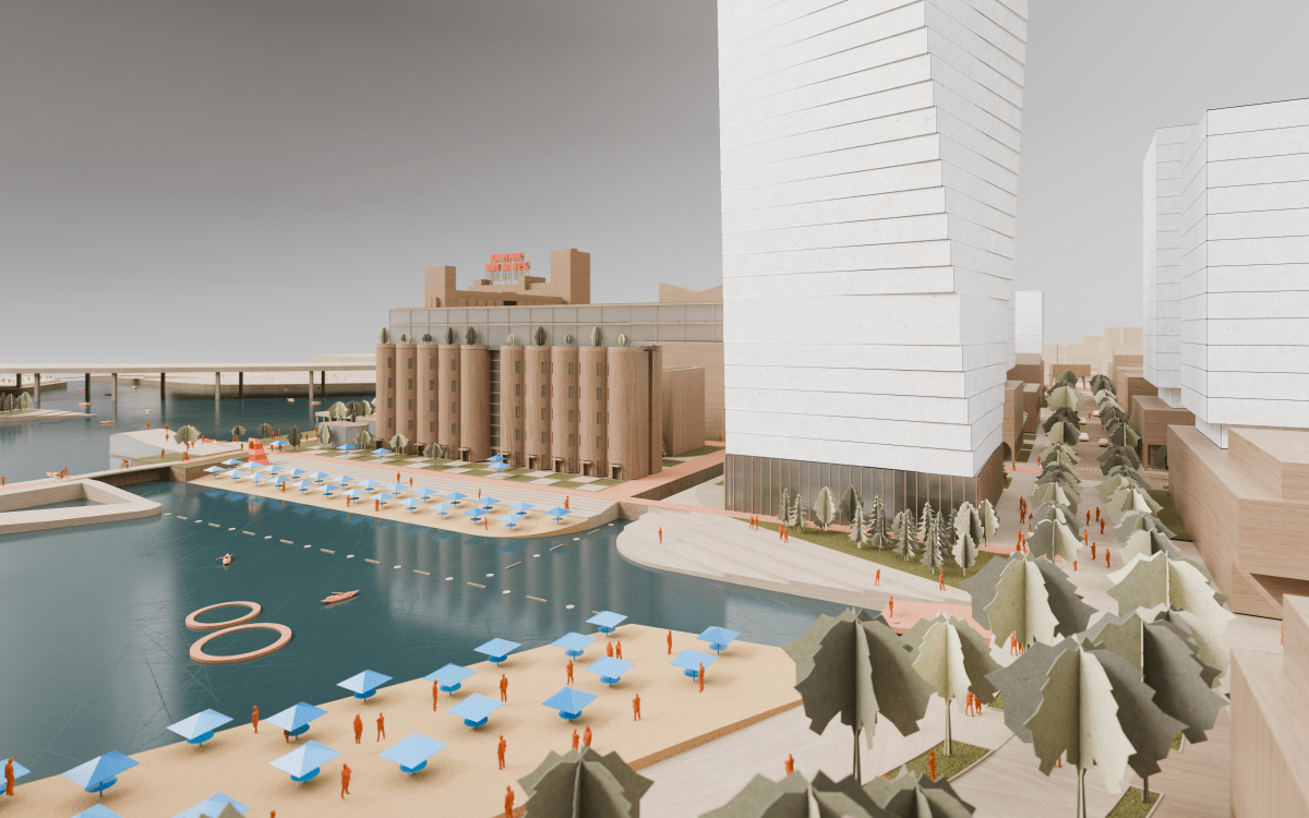 Wellington Basin Rendering
