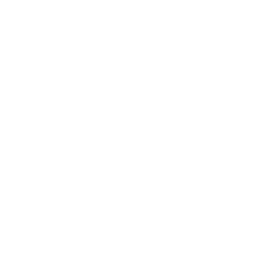 An icon showing a home