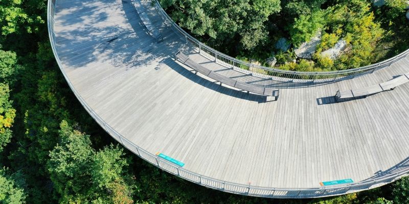 An aerial view of a boardwalk surrounding by trees