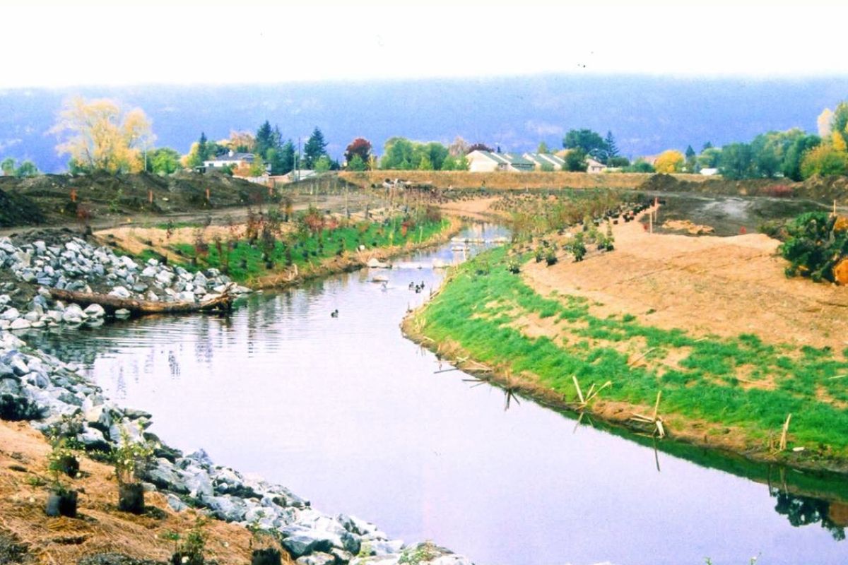 Brandts Creek Crossing showing lake and trees