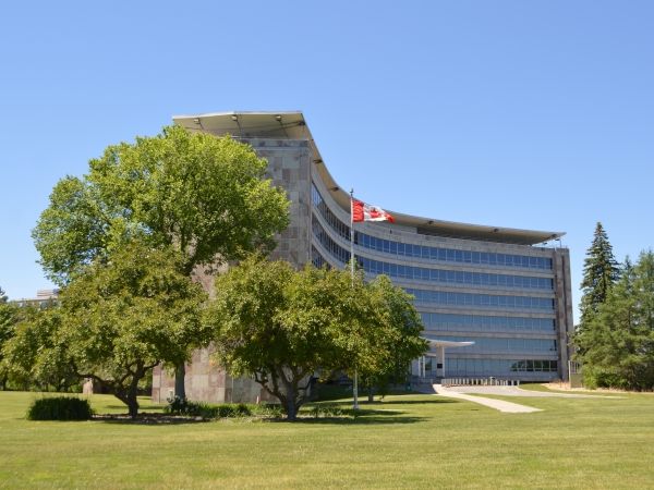 A large tree stands next to a building on the Confederation Heights property in Ottawa