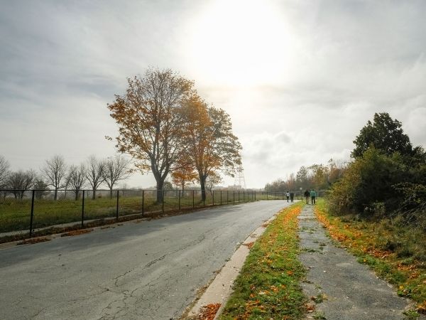 Shannon Park street view
