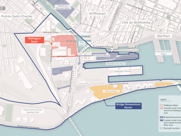 Wellington Basin Rendering